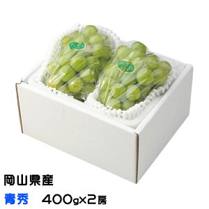 Ԃǂ ˃WCAc G 400g×2[ RY JA  uhE