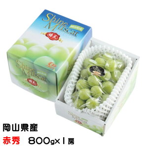 Ԃǂ VC}XJbg  ԏG 800g×1[ RY  uhE Mtg 