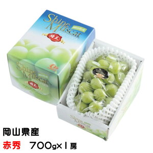 Ԃǂ VC}XJbg  ԏG 700g×1[ RY  uhE Mtg 