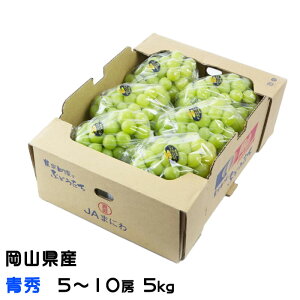 Ԃǂ VC}XJbg  G 5`10[ 5kg RY  uhE Mtg 