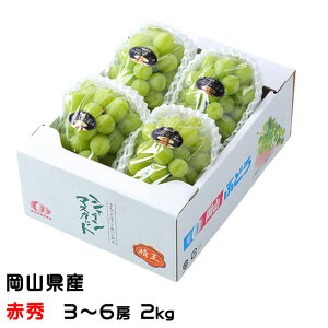 Ԃǂ VC}XJbg  ԏG 3`6[ 2kg RY  uhE Mtg 