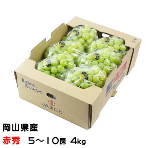 Ԃǂ VC}XJbg  ԏG 5`10[ 4kg RY  uhE