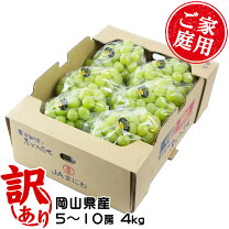 楽天市場】シャインマスカット 4kgの通販