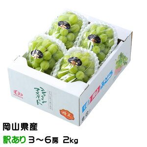 Ԃǂ VC}XJbg  ̂ Ɩ󂠂 3`6[ 2kg RY  uhE Mtg 