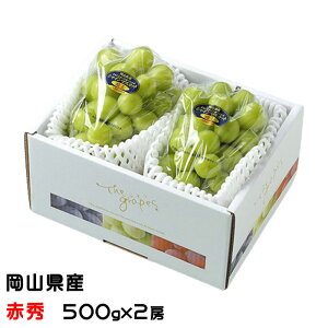 Ԃǂ VC}XJbg  ԏG 500g×2[ RY  uhE Mtg 