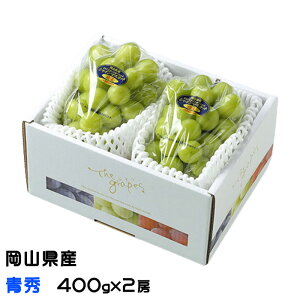 Ԃǂ VC}XJbg  G 400g×2[ Mtg RY  uhE Mtg 