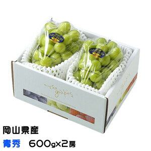 Ԃǂ VC}XJbg  G 600g×2[ Mtg RY  uhE Mtg 