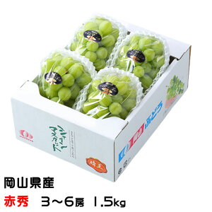 Ԃǂ VC}XJbg  ԏG 3`6[ 1.5kg RY  uhE Mtg 