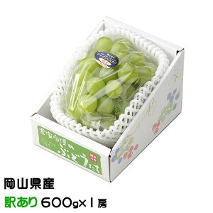 Ԃǂ VC}XJbg  ̂ Ɩ󂠂 600g×1[ RY  uhE Mtg 