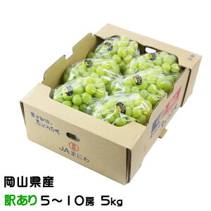 Ԃǂ VC}XJbg  ̂ Ɩ󂠂 5`10[ 5kg RY  uhE Mtg 