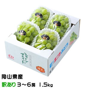 Ԃǂ VC}XJbg  ̂ Ɩ󂠂 3`6[ 1.5kg RY  uhE Mtg 