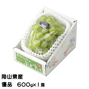 Ԃǂ VC}XJbg  Di 600g×1[ RY  uhE Mtg 