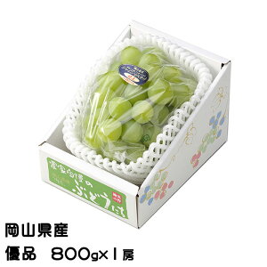 Ԃǂ VC}XJbg  Di 800g×1[ RY  uhE Mtg 
