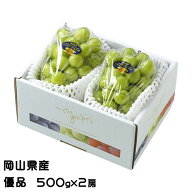 ぶどう シャインマスカット 晴王 優品 500g×2房 岡山県産 葡萄 ブドウ ギフト お取り寄せ