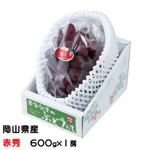 Ε Ԃǂ   ԏG 600g×1[ RY JA  uhE