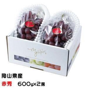 Ε Ԃǂ   ԏG 600g×2[ RY JA  uhE