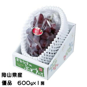 Ε Ԃǂ   Di 600g×1[ RY JA  uhE