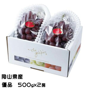 Ε Ԃǂ   Di 500g×2[ RY JA  uhE