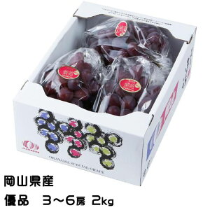 Ε Ԃǂ   Di 3`6[ 2kg RY JA  uhE