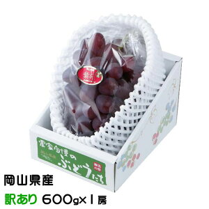 ぶどう 紫苑 しえん 風のいたずら ちょっと訳あり 600g×1房 岡山県産 JAおかやま 葡萄 ブドウ