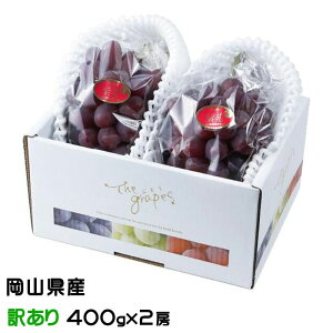 ぶどう 紫苑 しえん 風のいたずら ちょっと訳あり 400g×2房 岡山県産 JAおかやま 葡萄 ブドウ