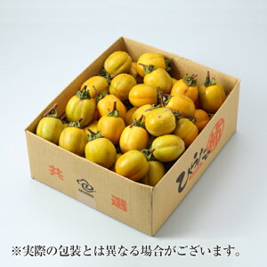 ` a` `pZbg }t  ݂邵Rt Gi 傫܂ 7kg RY Y