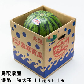 すいか 特大玉スイカ 優品 特大玉 11kg以上 1玉 鳥取県 大栄町産 スイカ 西瓜