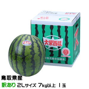 ������ ����ʃX�C�J ���̂������� ������Ɩ󂠂� 2L�T�C�Y 7kg 1�� ���挧 ��h���Y �X�C�J ���Z