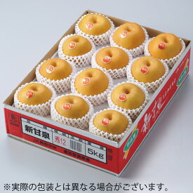 お歳暮 梨 新甘泉 しんかんせん 青秀 7玉〜20玉 5kg 鳥取県産 なし ナシ