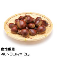 栗 産地厳選 生栗 4L〜3Lサイズ 2kg くり クリ