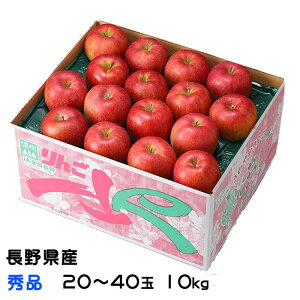 Ε  Tӂ Gi 20`40 10kg 쌧Y MBR₩ ь S