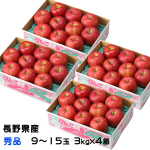 Ε  Tӂ 3kg×4 Gi 9`15 쌧Y MBR₩ ь S