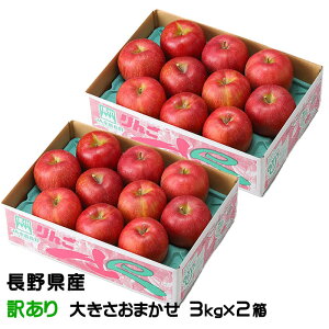 Ε  Tӂ 3kg×2 ̂ Ɩ󂠂 傫܂ 쌧Y MBR₩ ь S