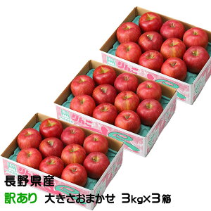 Ε  Tӂ 3kg×3 ̂ Ɩ󂠂 傫܂ 쌧Y MBR₩ ь S