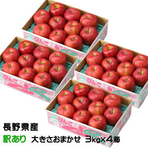 Ε  Tӂ 3kg×4 ̂ Ɩ󂠂 傫܂ 쌧Y MBR₩ ь S