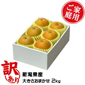 梨 新王 しんおう ちょっと訳あり 大きさおまかせ 2kg 新潟県産 なし ナシ