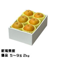 梨 新王 しんおう 優品 5〜9玉 2kg 糖度13度以上 新潟県産 なし ナシ