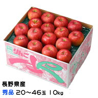 りんご シナノスイート 秀品 20〜46玉10kg 長野県産 信州高山さわやかりんご 林檎 リンゴ