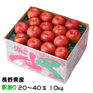  VimXC[g ̂ Ɩ󂠂 20`40 10kg 쌧Y MBR₩ ь S