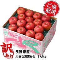 りんご シナノスイート 風のいたずら ちょっと訳あり 大きさおまかせ 10kg 長野県産 信州高山さわやかり…