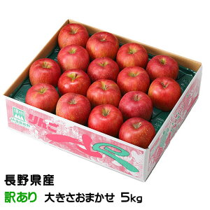 Ε  VimXC[g ̂ Ɩ󂠂 傫܂ 5kg 쌧Y MBR₩ ь S