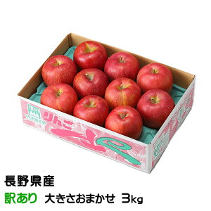 Ε  VimXC[g ̂ Ɩ󂠂 傫܂ 3kg 쌧Y MBR₩ ь S