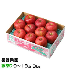  VimXC[g ̂ Ɩ󂠂 9`13 3kg 쌧Y MBR₩ ь S