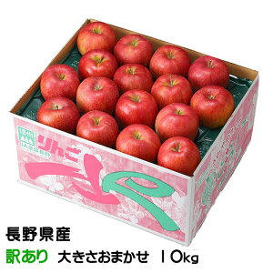 Ε  MBR₩ ̂ Ɩ󂠂 傫܂ 10kg 쌧Y ь S