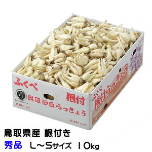 らっきょう 10kg」の人気商品一覧・価格比較 - 価格.com