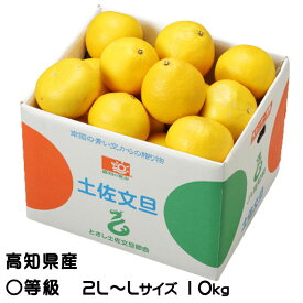 ぶんたん 土佐文旦 〇等級 2L～L 10kg 高知県産 JA高知県 ブンタン とさぶんたん トサブンタン