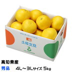 ぶんたん 土佐文旦 秀品 4L～3L 5kg 高知県産 JA高知県 ブンタン とさぶんたん トサブンタン