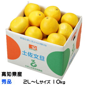 ぶんたん 土佐文旦 秀品 2L～L 10kg 高知県産 JA高知県 ブンタン とさぶんたん トサブンタン