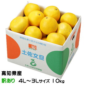 ぶんたん 土佐文旦 風のいたずら 訳あり 4L～3L 10kg 高知県産 ブンタン とさぶんたん トサブンタン