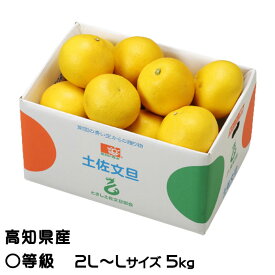 ぶんたん 土佐文旦 〇等級 2L～L 5kg 高知県産 JA高知県 ブンタン とさぶんたん トサブンタン